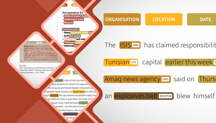 Named entity recognition