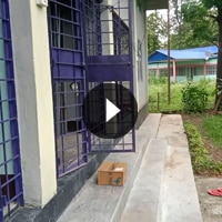 Security / Surveillance – Home Security Camera Clips