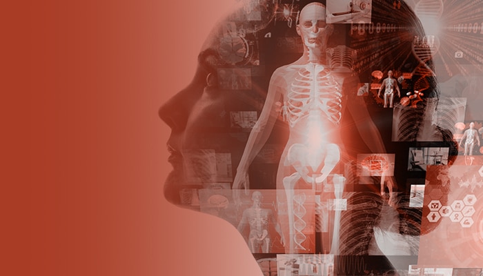 Medical data catalog