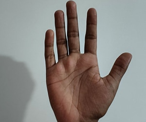 Palm recognition dataset