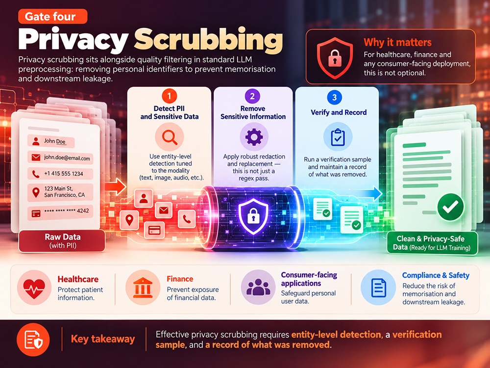 Privacy scrubbing