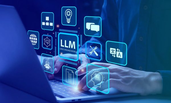 Domain-Specific LLMs